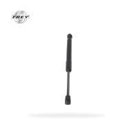 AMORTISSEUR CAPOT E70
